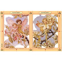 Large Cherry Blossom and Dogwood Flower Fairies Scraps ~ England ~ Out of Print